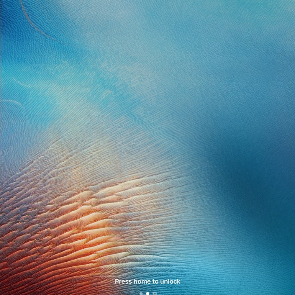 Meet your Posher, Pamela